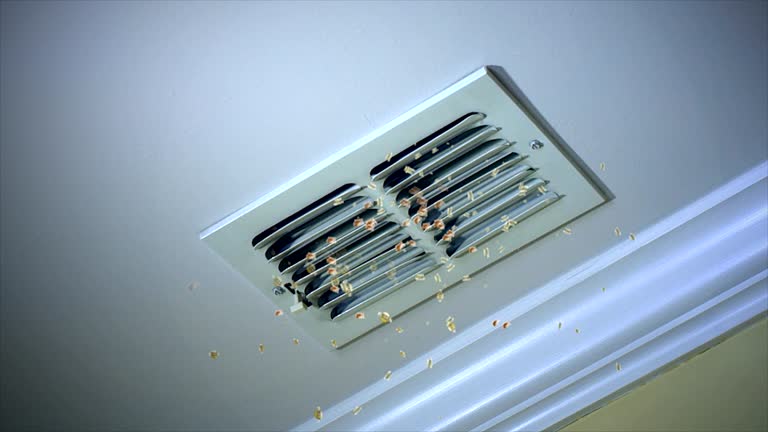 Best Air Duct Cleaning Company Near Me  in Churchill, OH